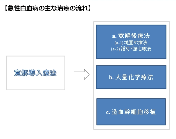 急性白血病の主な治療の流れ