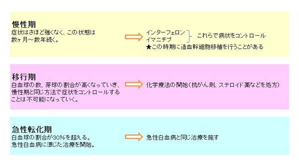 慢性白血病の主な治療の流れ